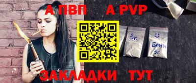 гашик Кингисепп