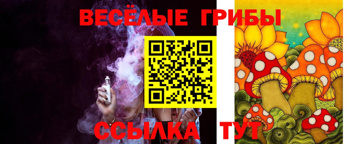 где купить наркоту  Псилоцибиновые грибы Psilocybe  Балтийск  Вход с VPN  Псилоцибиновые грибы прущие грибы 