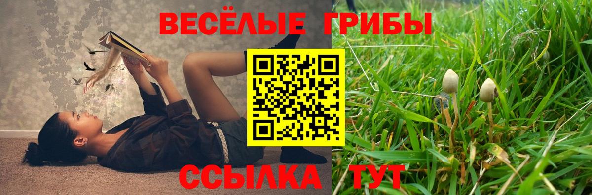 Псилоцибиновые грибы мицелий Балтийск